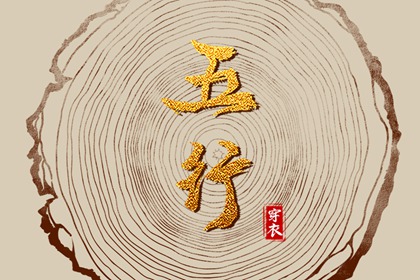 排紫微斗数命盘,查命盘紫微斗数,紫微运势曲线算命,姓名命盘,分析命盘